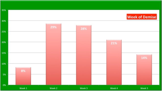 2016 Losses by Week