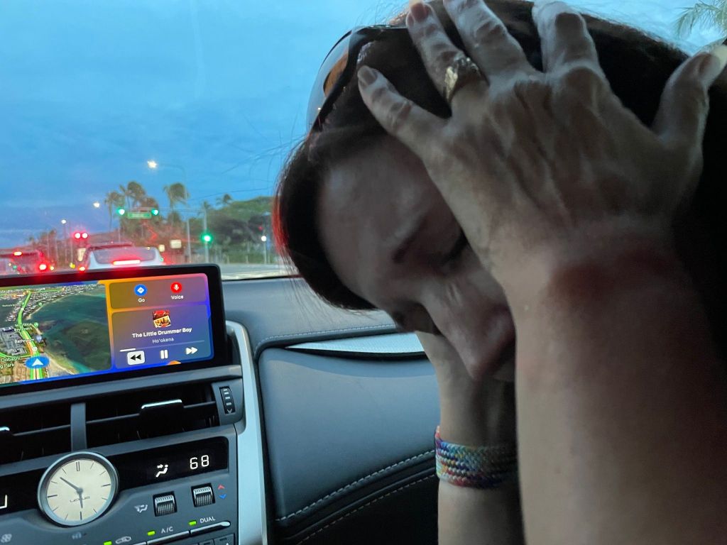 Lynne Rossi Horiuchi